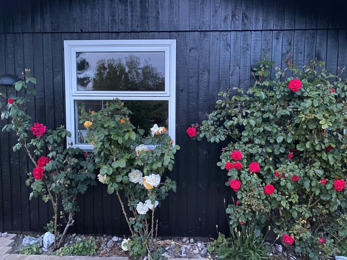 Nyhus, Dragsmur, Mols Knebel Exterior foto